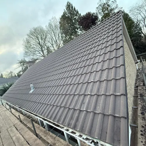 Recent roof project