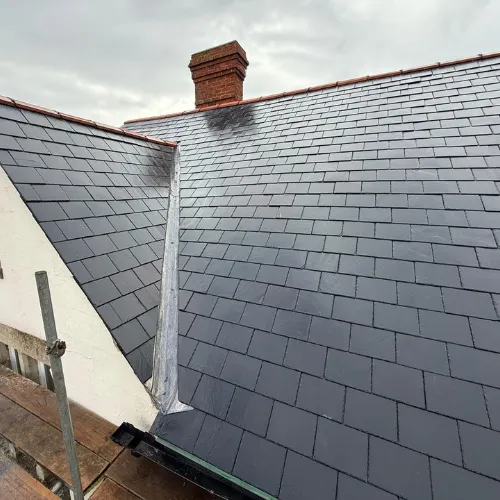 Recent roof project