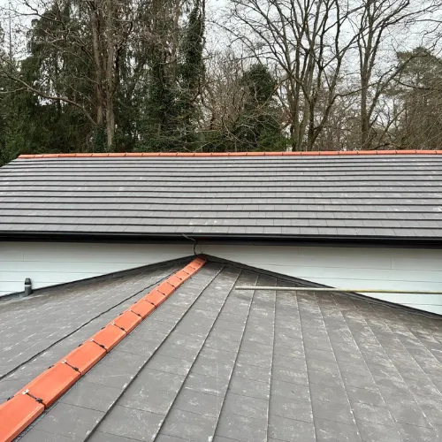 Recent roof project